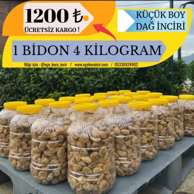4 kg küçük boy incir