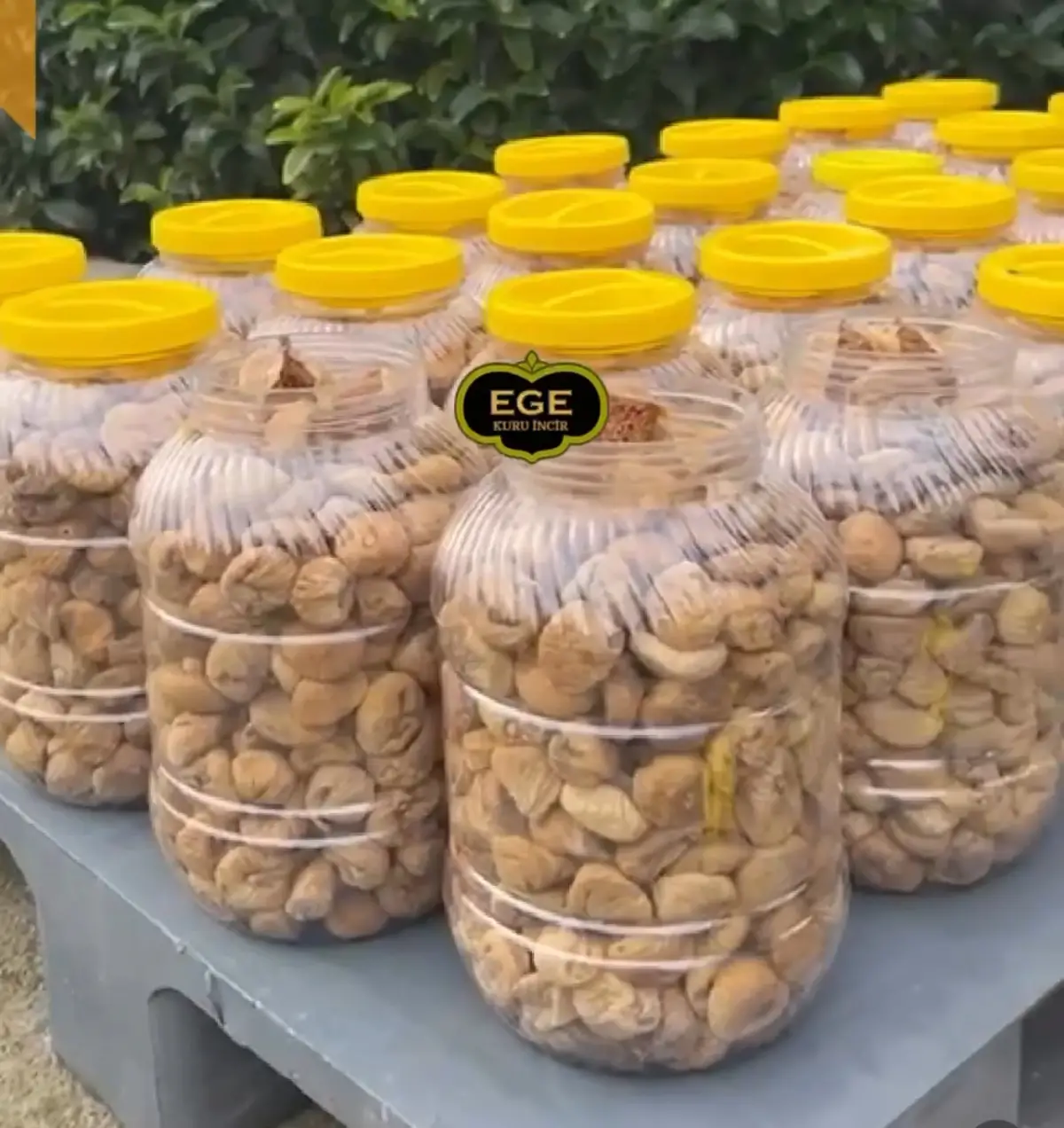 1 bidon 4 kg küçük boy dağ inciri